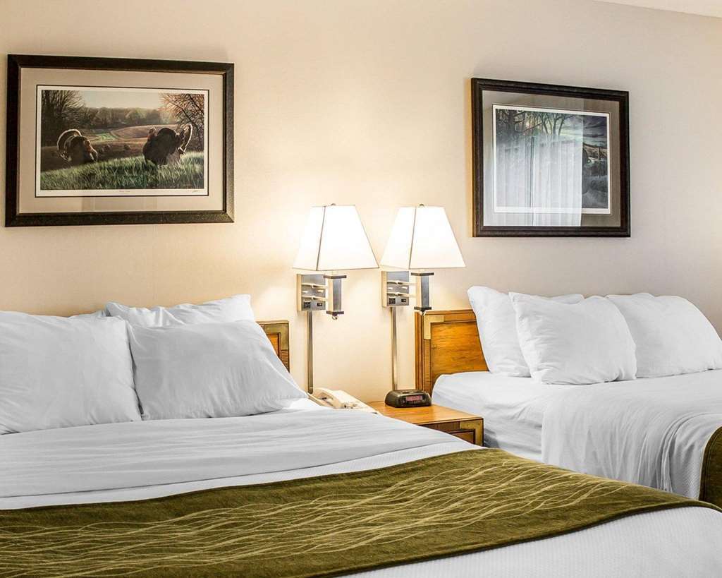 Quality Inn Petoskey-Harbor Springs Oda fotoğraf